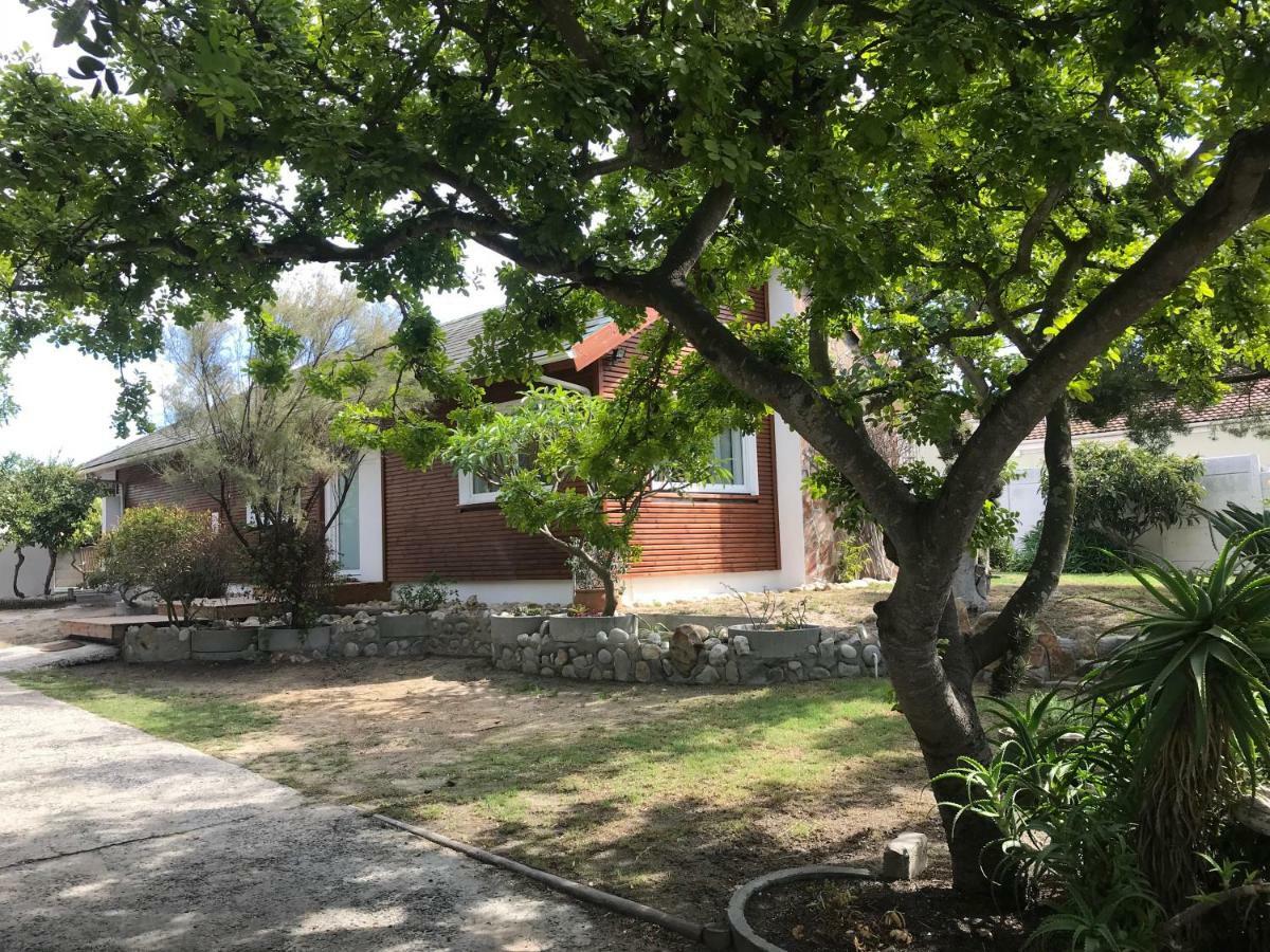 קייפטאון African Holiday Home In Table View מראה חיצוני תמונה